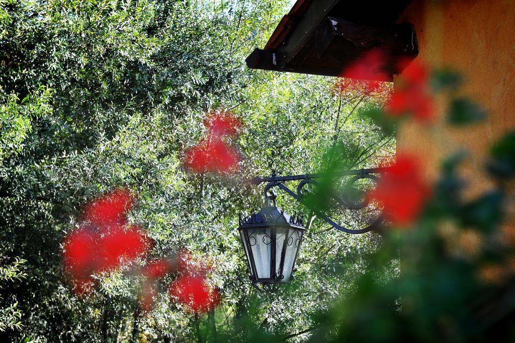 L'Antica Mola Villa Castel Madama Oda fotoğraf