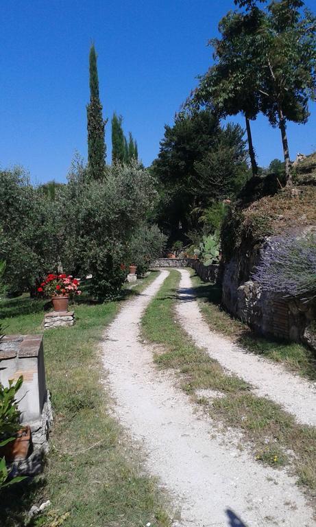 L'Antica Mola Villa Castel Madama Oda fotoğraf