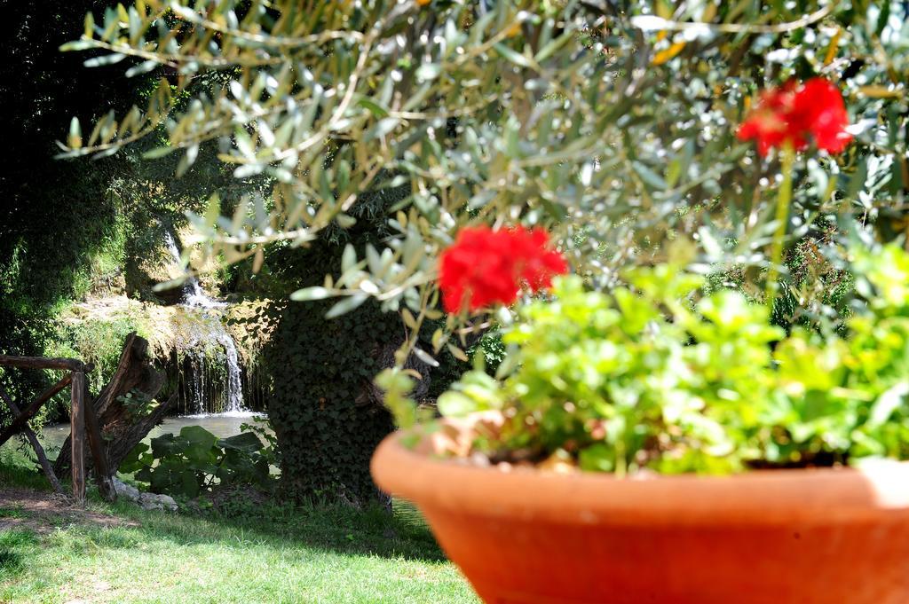 L'Antica Mola Villa Castel Madama Oda fotoğraf